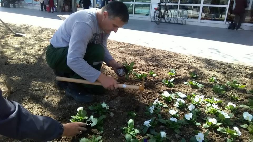 ЈП Комуналец го разубавува градот со цвеќиња