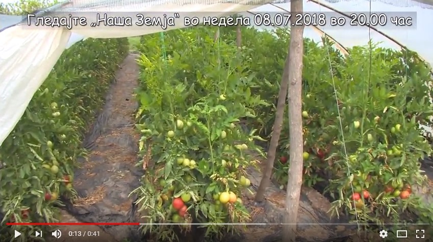 /Видео/ Органска храна од Драги од село Паликура