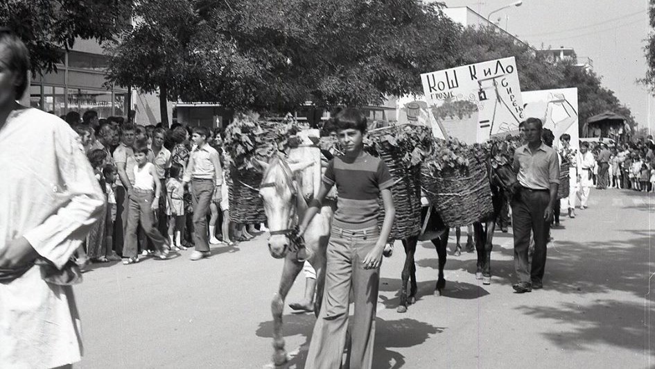 Стари фотографии на Кавадарци-Тиквешки гроздобер  1974-Карневал