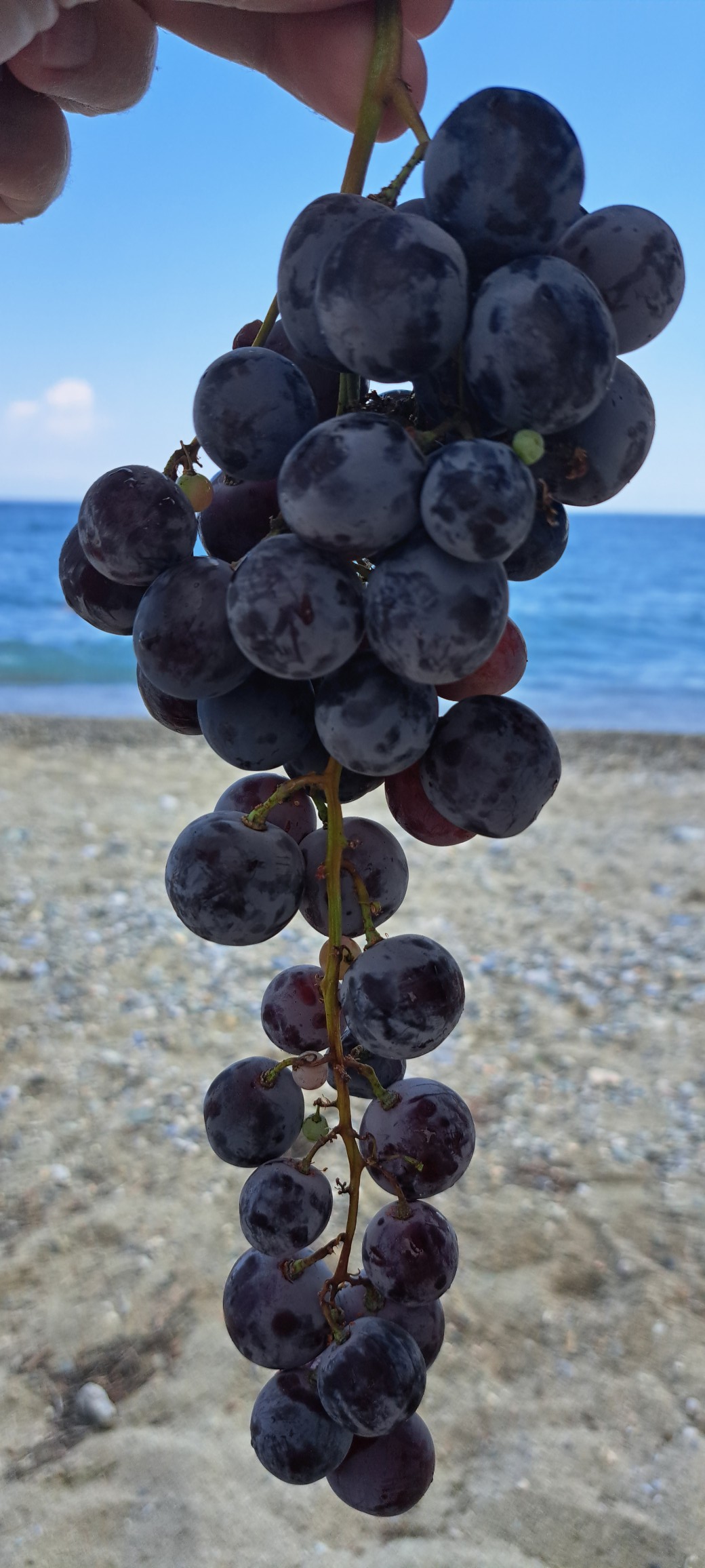 535404822_24271871049088521_5612292770441508804_n